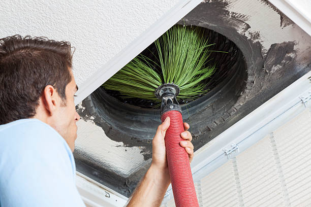 Best Ductwork Cleaning Services  in Woodburn, IN