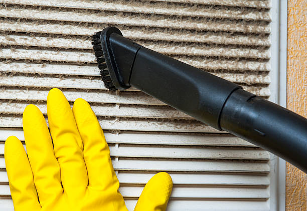 Best Professional Duct Cleaning Services  in Woodburn, IN