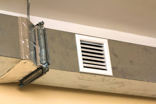 Best Ductwork Cleaning Services  in Woodburn, IN